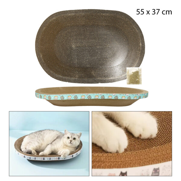 RASCADOR TIPO CUENCO OVALADO DE CARTÓN - 55 CM