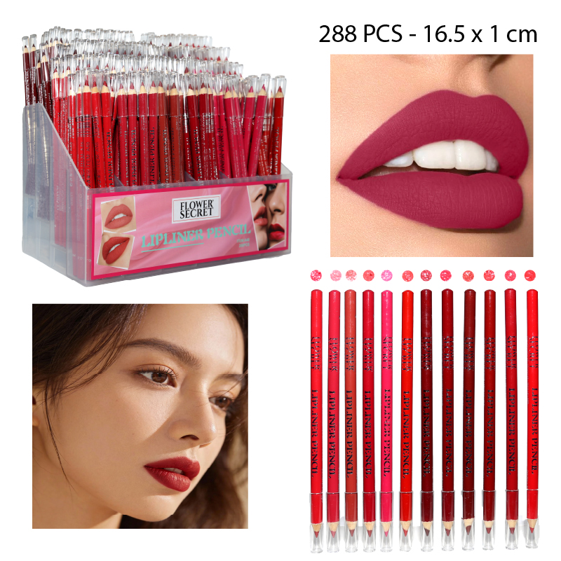 DELINEADOR EN LÁPIZ PARA LABIOS - 288 PCS
